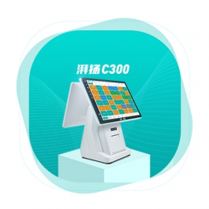 湃扬C300系列